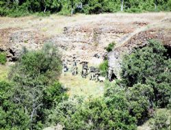 PKK ya yönelik operasyon genişliyor 